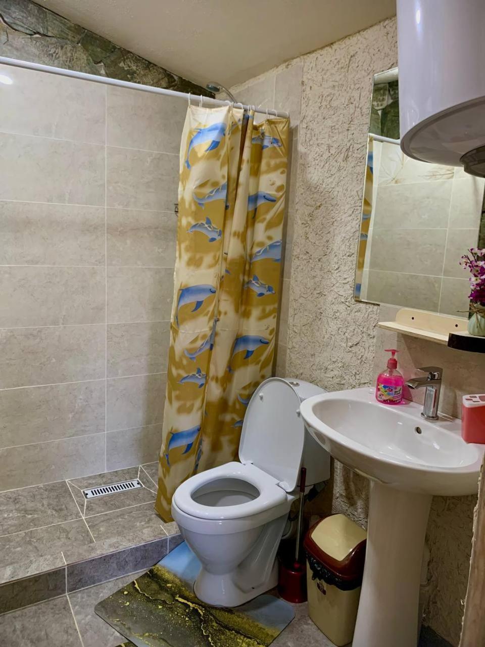 Guest House Emily Bokonbayevo ภายนอก รูปภาพ